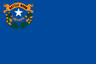 State Flag